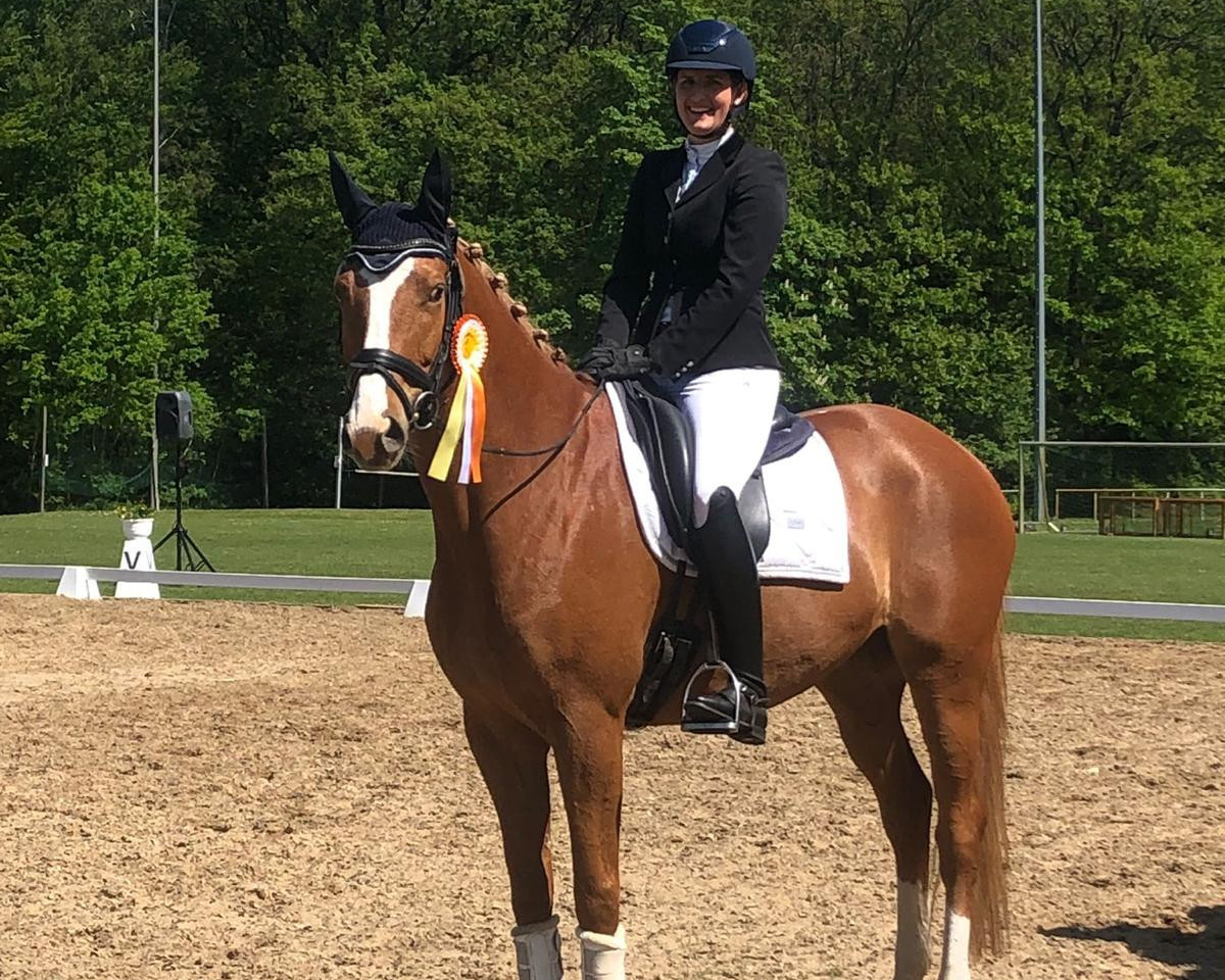 dressage horse Artistic Motion H (Trakehner, 2016, from High Motion 2)
