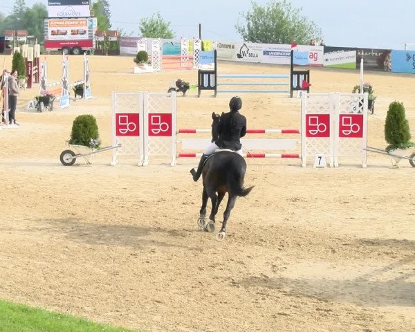 Reitturnier Wädenswil 2023