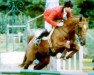 stallion Bouffon du Murier (Selle Français, 1989, from Double Espoir)