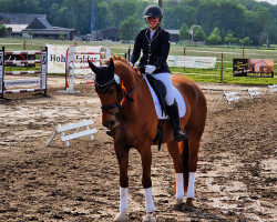 dressage horse Fritz Von Nymphenburg M (Hanoverian, 2012, from Fürst Nymphenburg)