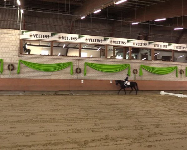Reitturnier Hellefeld 2023