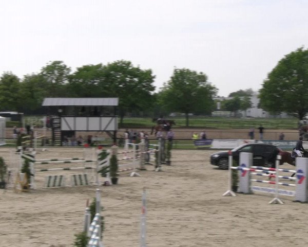 Reitturnier Hamm- Rhynern 2023
