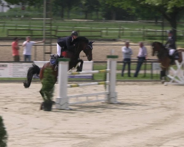 Reitturnier Hamm- Rhynern 2023