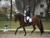 dressage horse Hot Emma W (Westphalian, 2019, from Hotline)