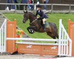 broodmare A pinch of Pepper (British Riding Pony, 2003)