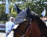 jumper Nobelheld (German Riding Pony, 2004, from Nibelungenheld II)