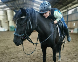 Pferd Milky Way 112 (Deutsches Reitpony, 2018, von Roy)