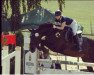 jumper Enjoy 89 (Hanoverian, 2003, from El Bundy)