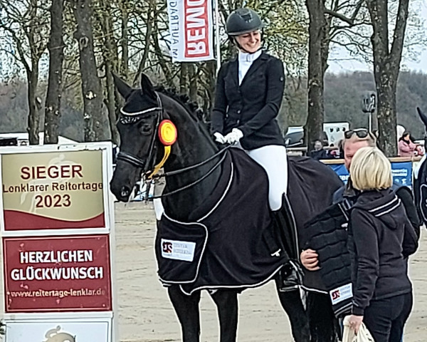 Dressurpferd Zera 28 (Deutsches Sportpferd, 2015, von Zansibar)