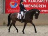 dressage horse Lucy 769 (Westphalian, 2009, from Lordanos)