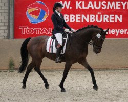 dressage horse Lucy 769 (Westphalian, 2009, from Lordanos)