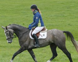 Pferd Hairena (Trakehner, 2018, von Eisfreund)