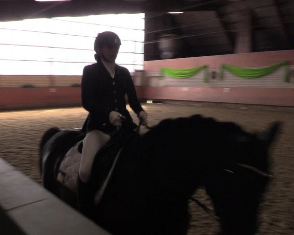 Reitturnier Hellefeld 2023