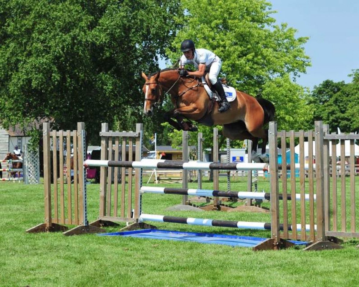 Springpferd Billy Spiral (Anglo Europäisches Sportpferd, 2012, von Tangelo van de Zuuthoeve)
