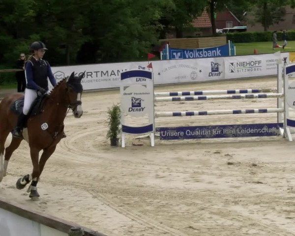 Reitturnier Everswinkel 2023