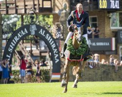 jumper Billy Buckingham (anglo european sporthorse, 2008, from Billy Congo)