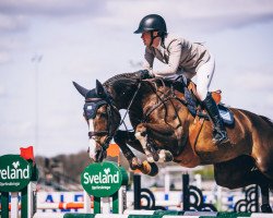 jumper Kannograna PS (Oldenburg show jumper, 2013, from Kannan)