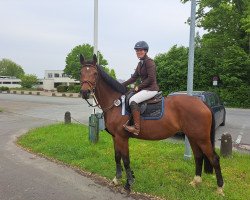 broodmare Luna 1652 (Trakehner, 2007, from Impuls)