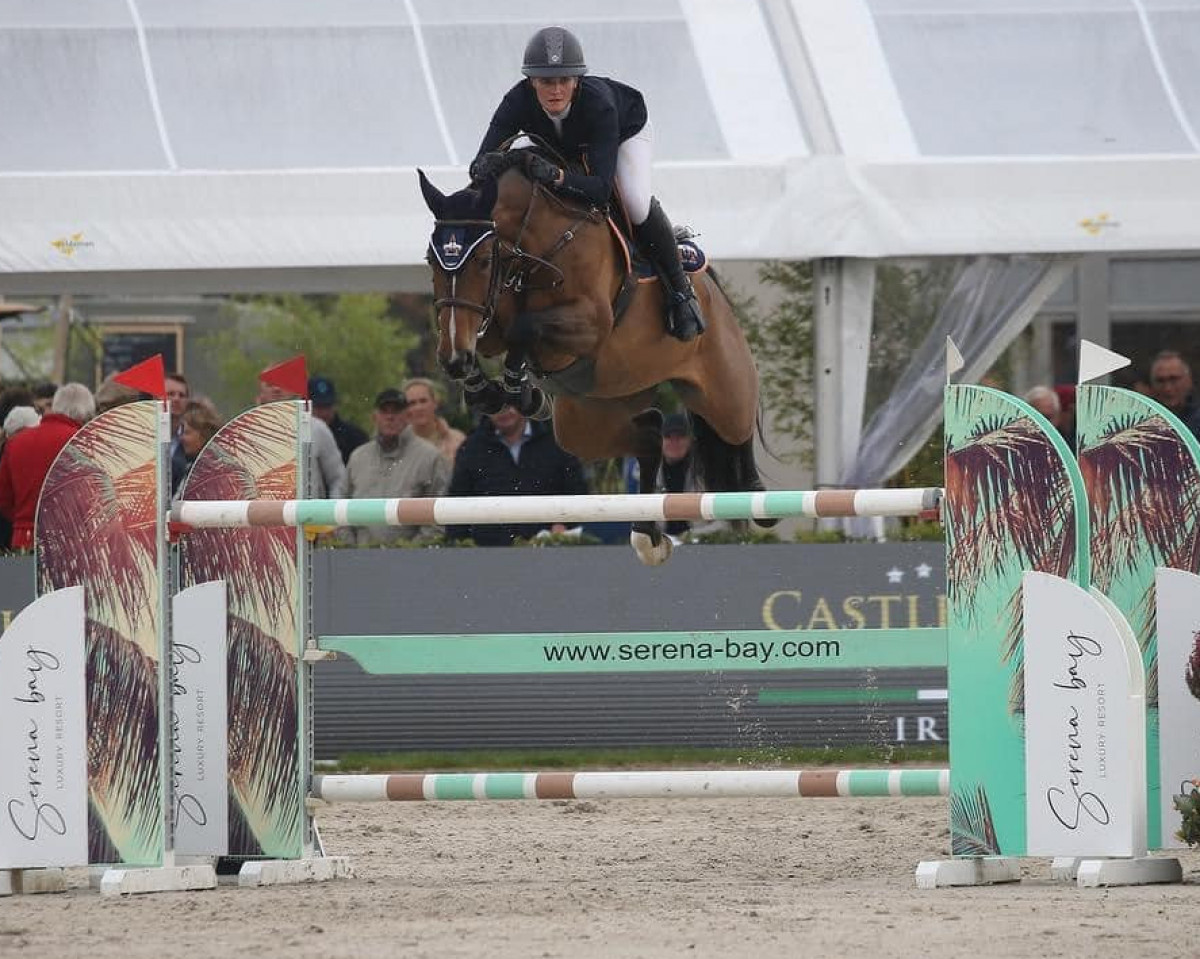 Springpferd Billy Utah (Anglo Europäisches Sportpferd, 2015, von Cevin Z)
