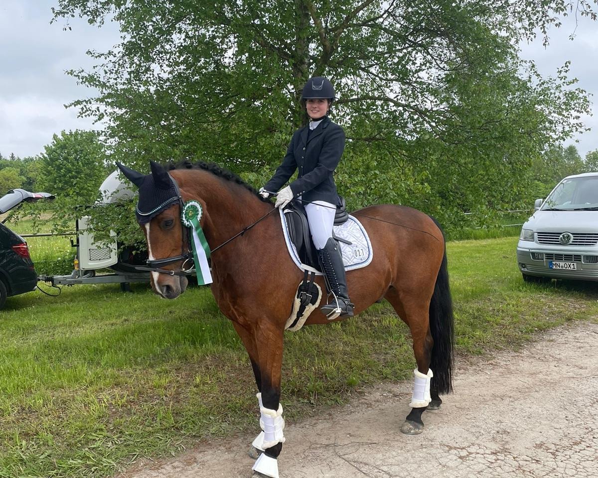 dressage horse De Candero (Bavarian, 2005, from Da Lisco)