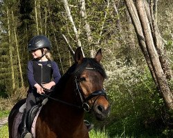 dressage horse Grand Gravel (German Riding Pony, 2017, from Hesselteichs Grimaldi)