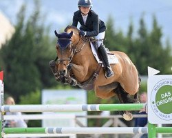 broodmare Jolie Fleur van de Noordheuvel (Belgian Warmblood, 2009, from Cassini II)