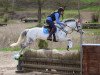 broodmare Holsteins Santana (German Riding Pony, 2011, from Holsteins Tamino)