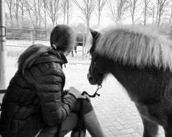 dressage horse Chilli (unknown, 2009)