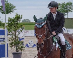 jumper Carl L 3 (Oldenburg show jumper, 2014, from Cinsey)