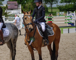 broodmare Steendieks Rachel (German Riding Pony, 2013, from FS Chacco Blue)