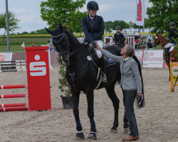 jumper Quando H (German Sport Horse, 2012, from Quadroneur)