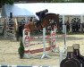 jumper Cascadero Sw (German Warmblood, 2017, from Cartusch 21)