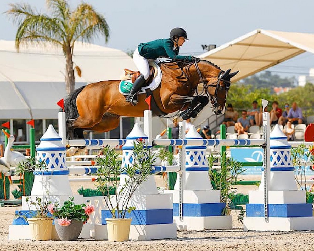 jumper Horinde H (KWPN (Royal Dutch Sporthorse), 2012, from Tornesch)