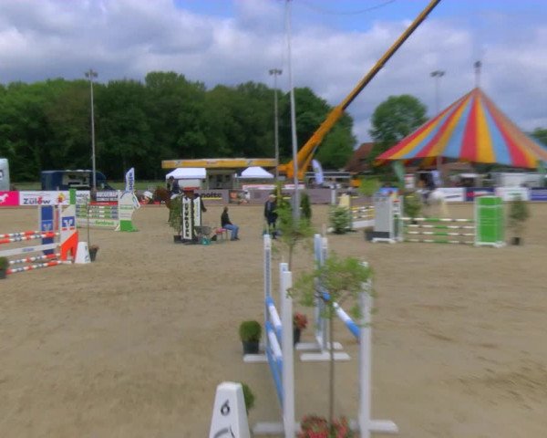 Reitturnier Borken Reitanlage Sportpferde Ehning 2023