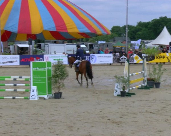 Reitturnier Borken Reitanlage Sportpferde Ehning 2023