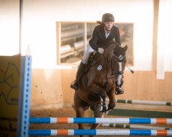 jumper Grisu Le Grande (Hanoverian, 2004, from Guenzel)