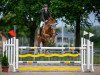 Springpferd Hs Victoria (Irish Sport Horse, 2013, von Castlecomer Q)