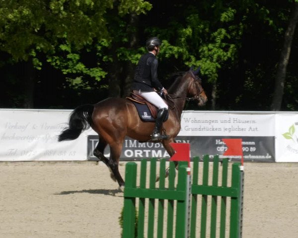 Reitturnier Karlsfeld/Obb. 2023