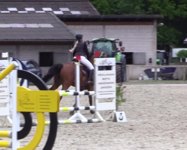 Reitturnier Kropp 2023