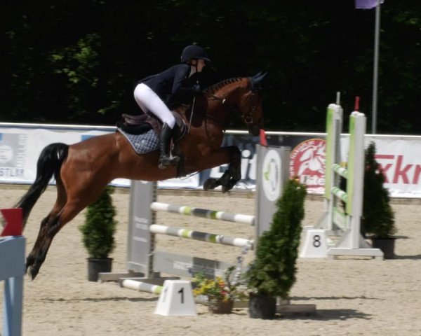 Reitturnier Karlsfeld/Obb. 2023