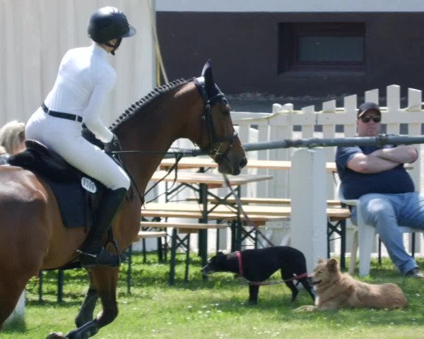 Reitturnier Forst 2023