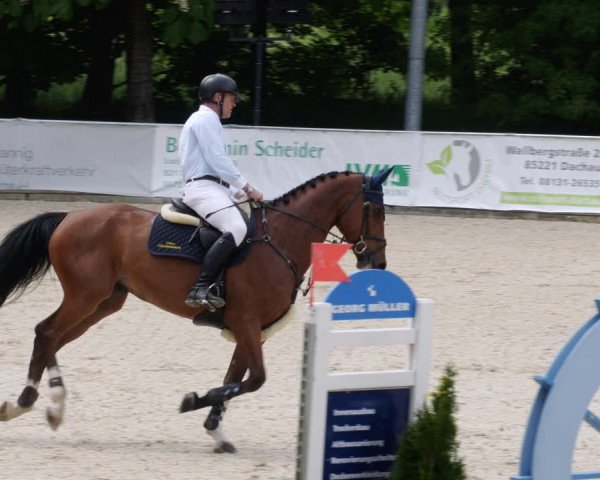 Reitturnier Karlsfeld/Obb. 2023