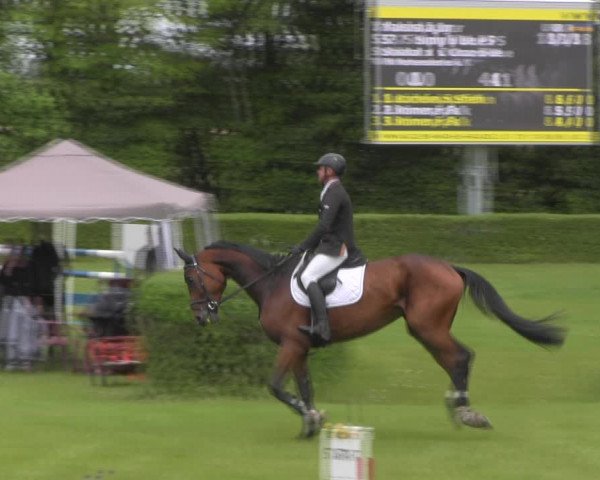 Reitturnier Westeregeln 2023