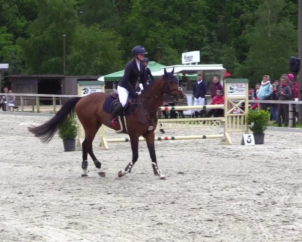 Reitturnier Kropp 2023