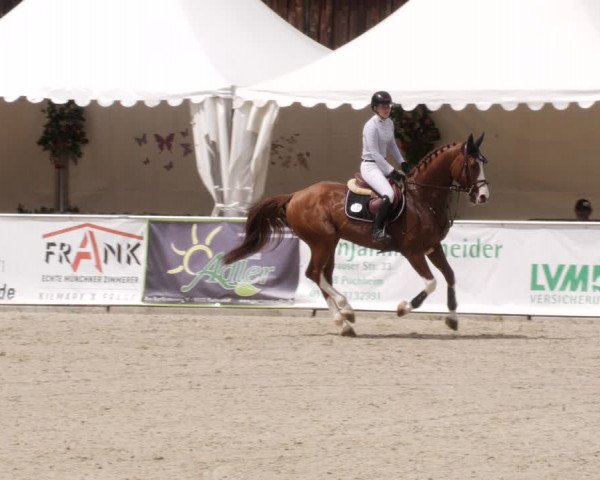 Reitturnier Karlsfeld/Obb. 2023