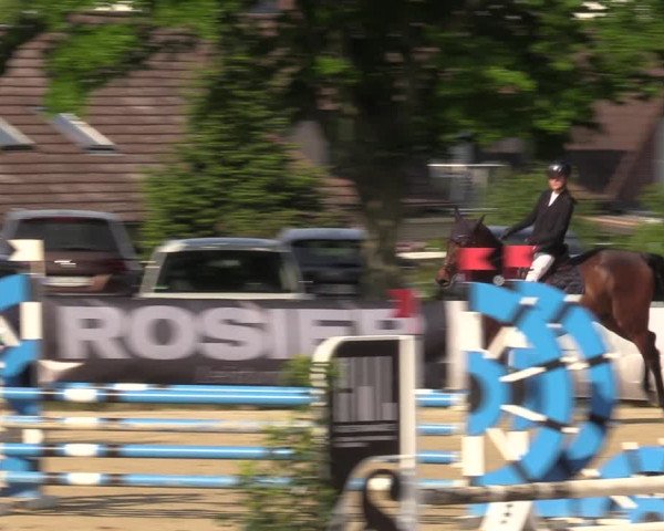 Reitturnier Iserlohn-Kalthof 2023