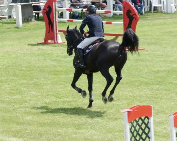 Reitturnier Forst 2023