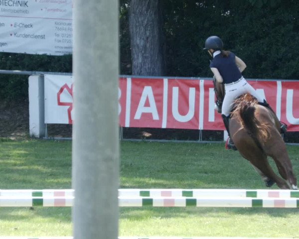 Reitturnier Forst 2023
