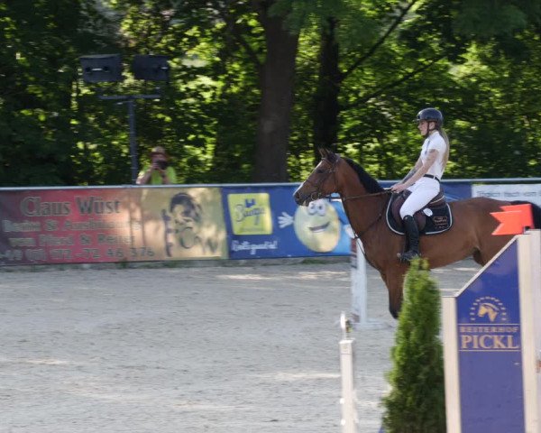 Reitturnier Karlsfeld/Obb. 2023
