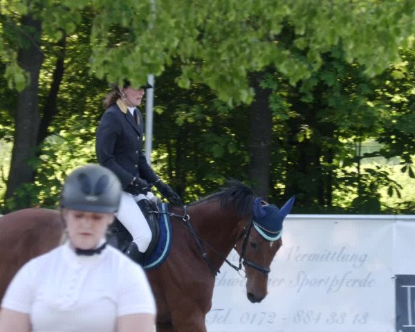 Reitturnier Karlsfeld/Obb. 2023